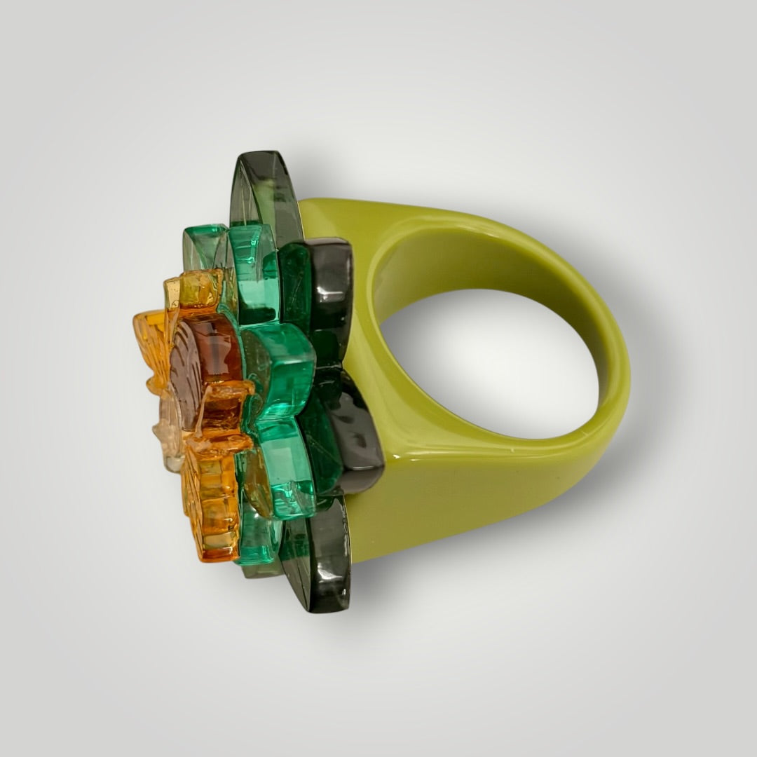 Anillo Jardín