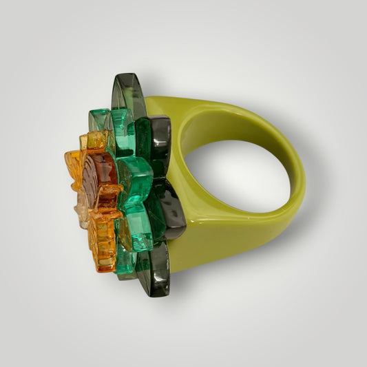 Anillo Jardín